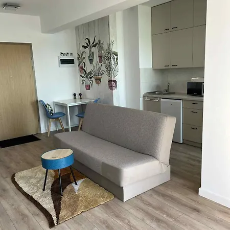 Kawalerka Nad Jeziorem 厄尔科